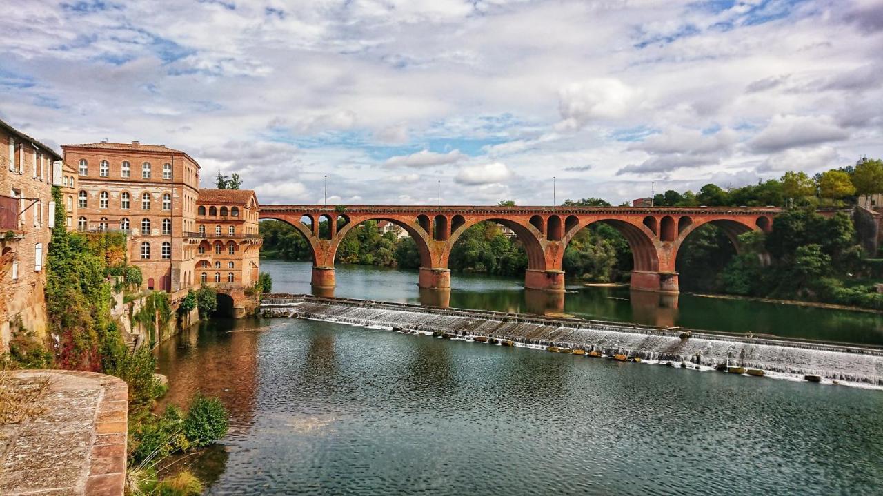 Fleurs De Cosmos Bed & Breakfast Albi Bagian luar foto